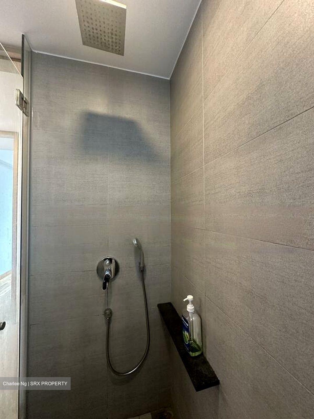 Sennett Residence (D13), Condominium #440455681